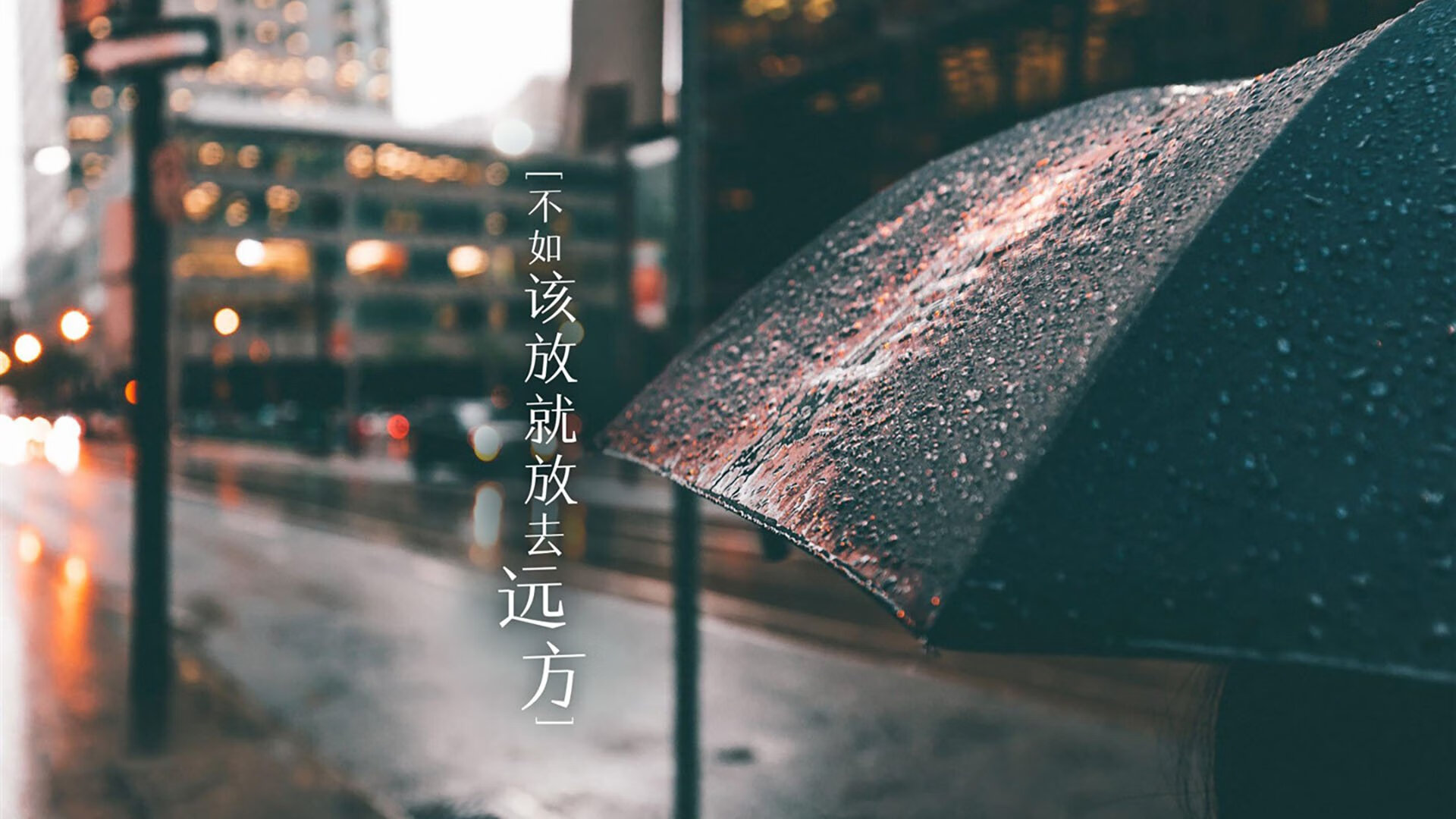 fb体育官网-科比：五个总冠军的“冠军之心”！，科比5次总冠军对手