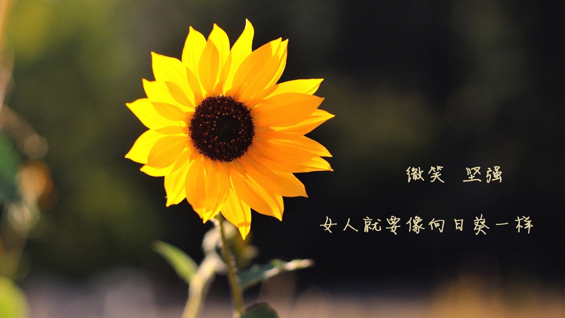 fb体育官网首页-哥伦比亚女足在巴黎奥运会比赛中以2-0战胜日本哥伦比亚队前锋马丁内斯在巴黎奥运会上表现出色