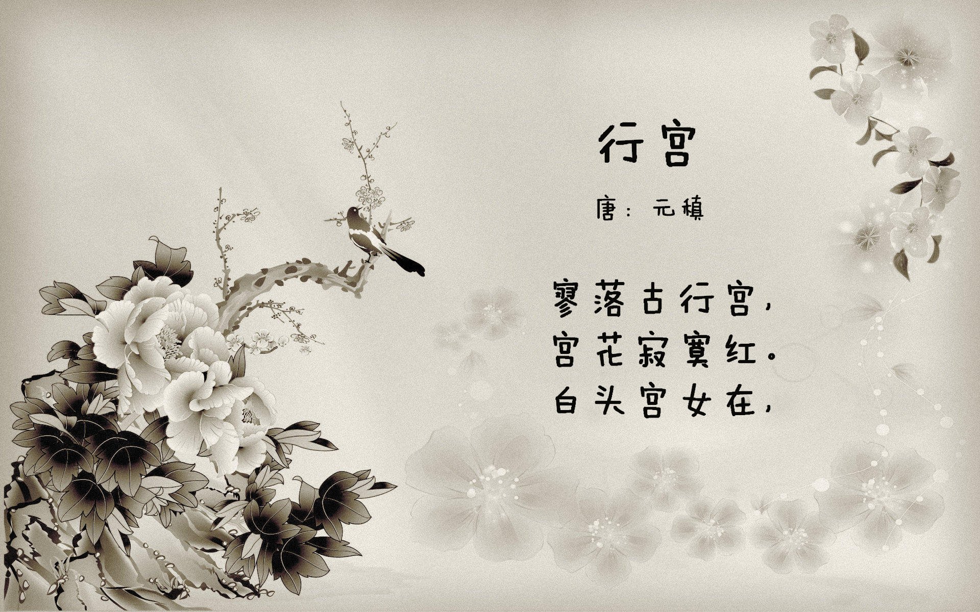 李娜参与青少年比赛担任裁判兼指导，李娜 决赛